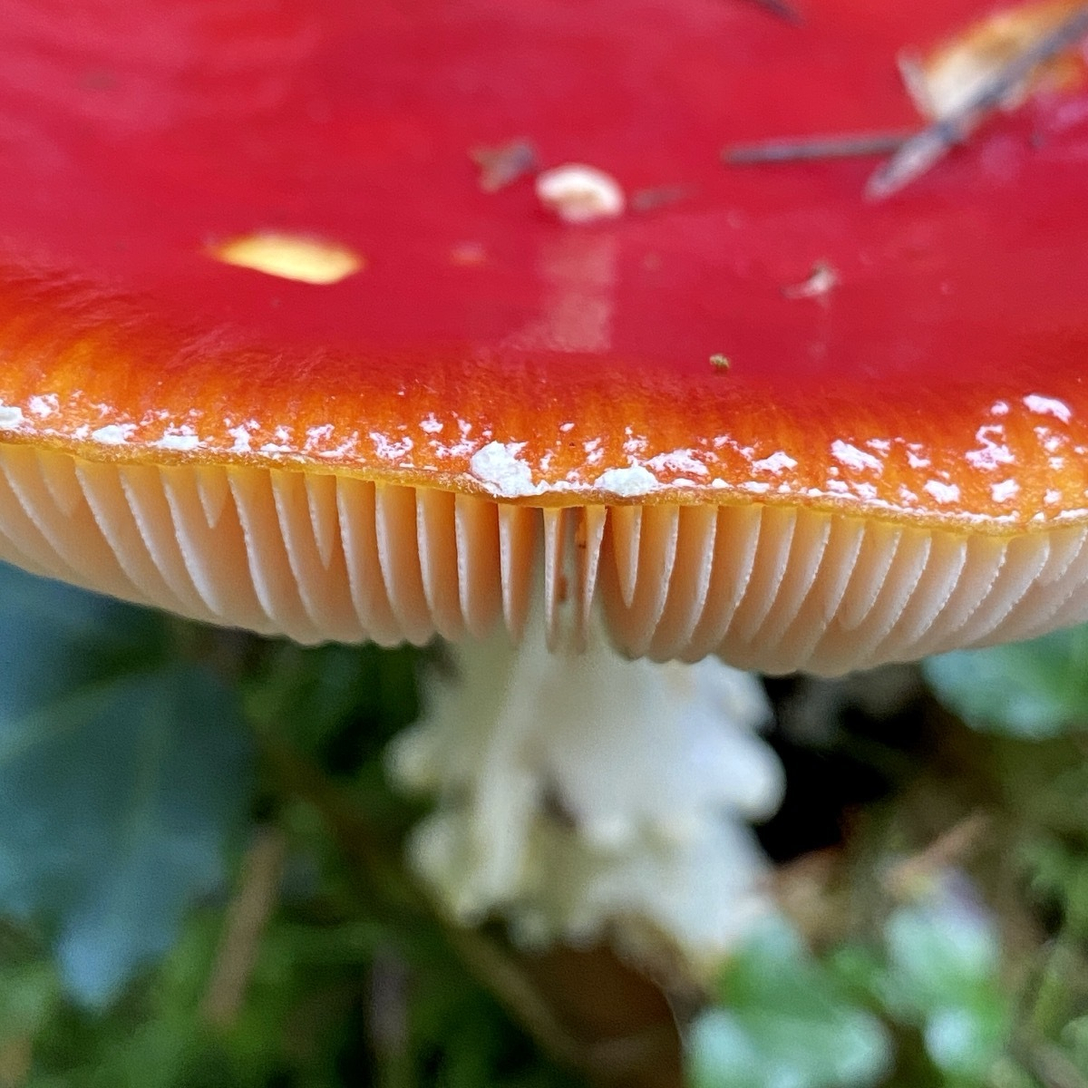 38f3d7f1-ee3d-4953-ab17-3c98ab081da9.jpg 38f3d7f1-ee3d-4953-ab17-3c98ab081da9.jpg