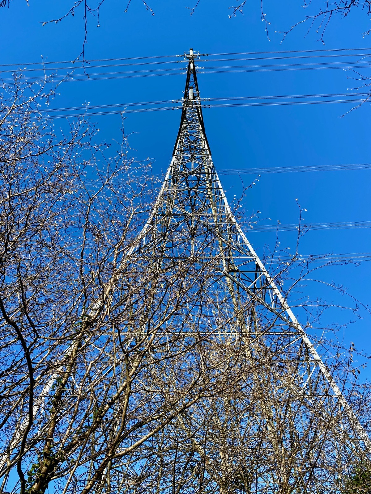a2847cbc-fc66-4583-9c88-391c309542a8.jpg