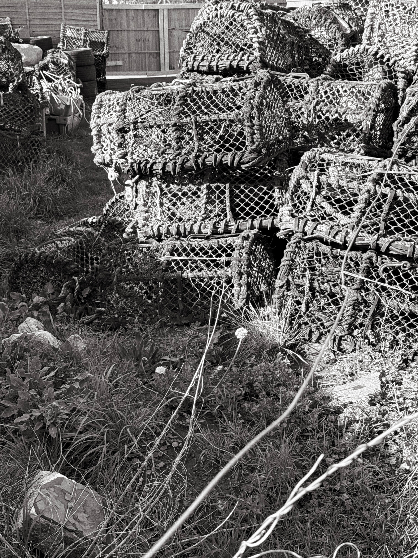 Auto-generated description: A collection of stacked lobster pots is surrounded by grass and a wooden fence.