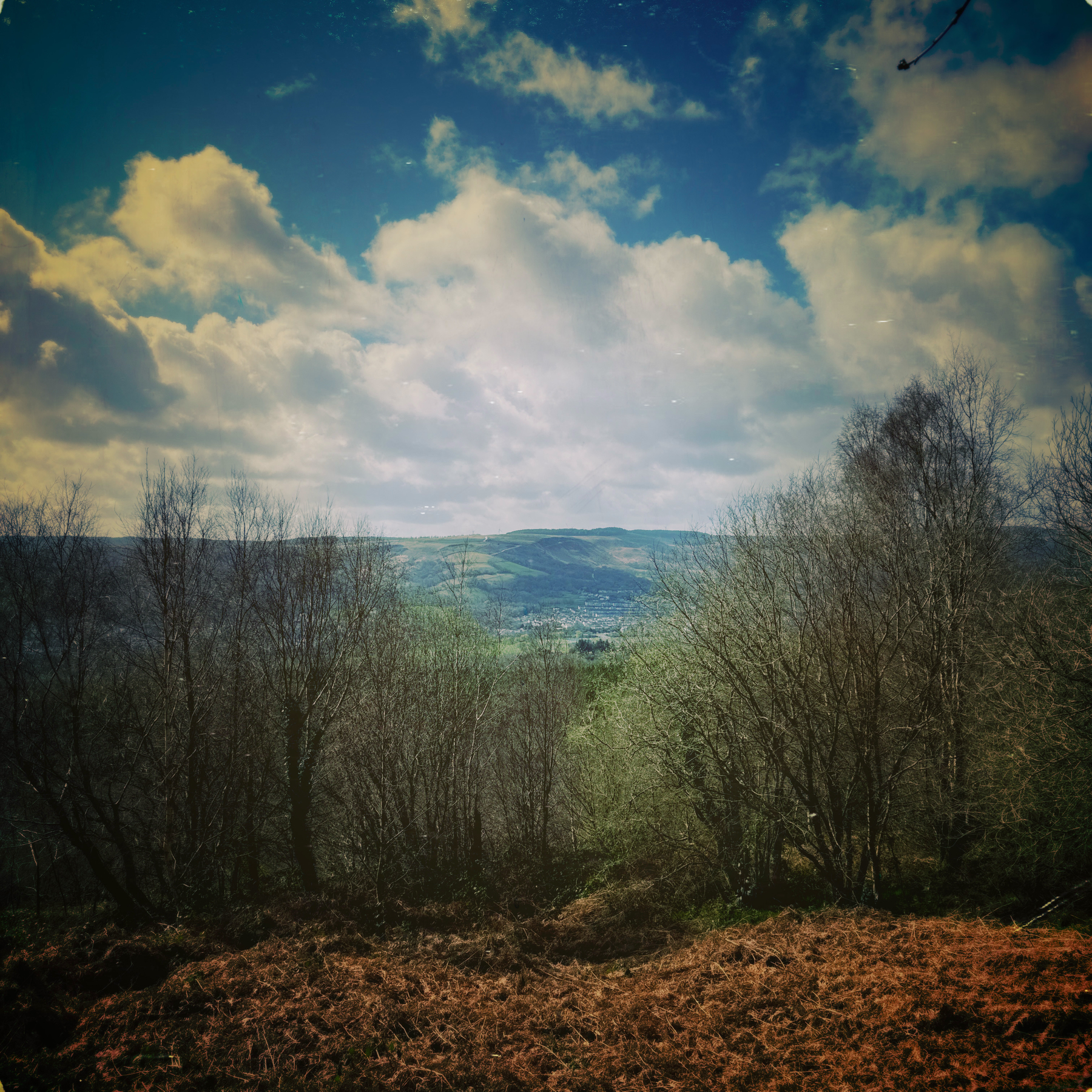 Auto-generated description: A scenic landscape features rolling hills under a partly cloudy sky with bare trees in the foreground.
